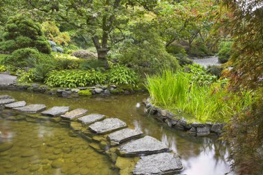 Path from wet stones. clipart