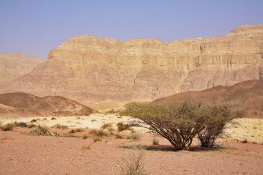 benzersiz park timna