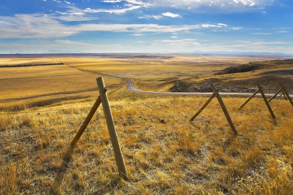 La prairie américaine en octobre . — Photo