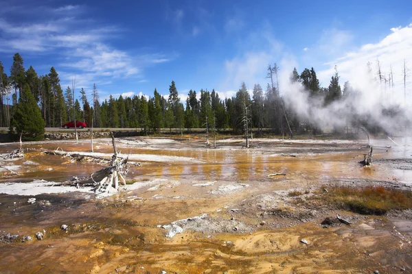 Kokande geotermisk geyser — Stockfoto