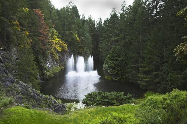 木製湖の噴水. — ストック写真