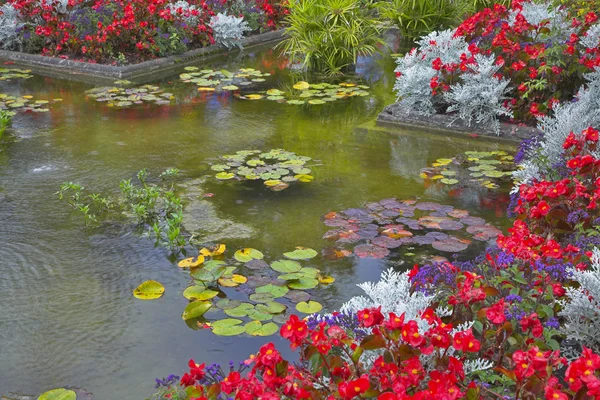 Teich und Blumenbeet. — Stockfoto