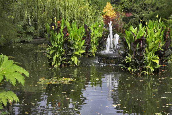 Fountain in a pond. — Stock Photo, Image