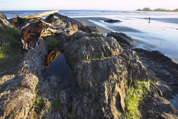 Пляж Тихоокеанского побережья Канады — стоковое фото