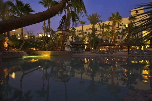 Zwembad en palm bomen. — Stockfoto