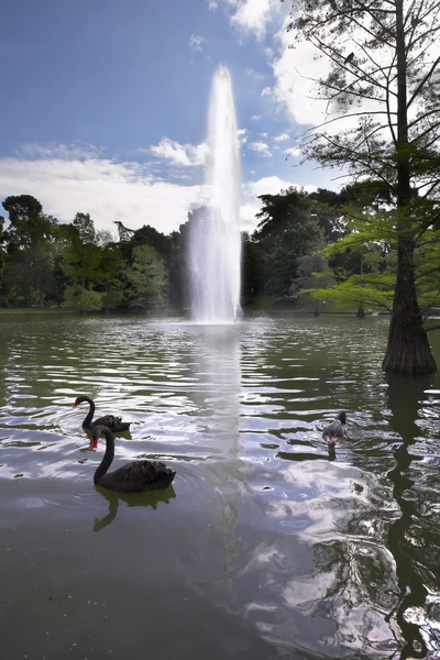 Jezero s fontánou — Stock fotografie
