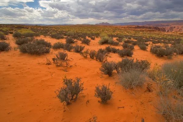 Rote Wüste. — Stockfoto