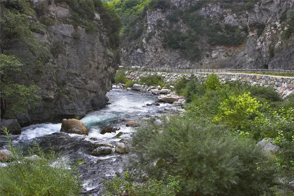 stock image The Alpine river.