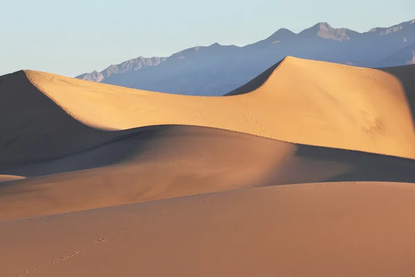 Zandduinen verlicht duidelijk en doeltreffend zonsopgang — Stockfoto