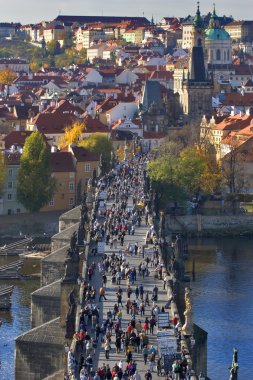 Karlov bridge. clipart