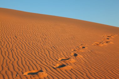 fotoğrafçılar izleri kaldı