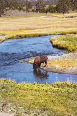 Yellowstone national park clipart