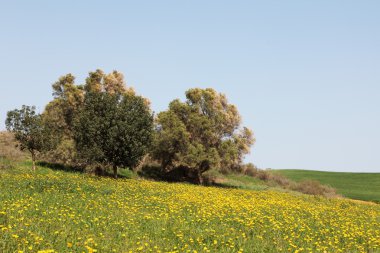 Doğa Manzaralı tepeler