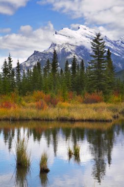 The small lake and picturesque autumn coast clipart