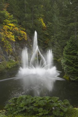 Sparkling jets of a fountain