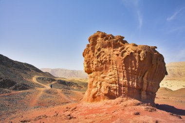 Kırmızı kumtaşı içinde çöl arava rakamları