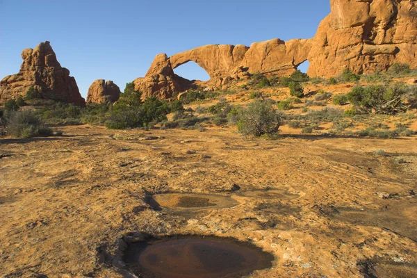 Pool in stone desert — Zdjęcie stockowe