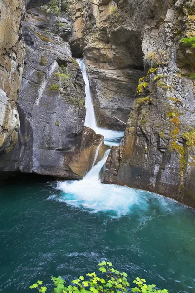 Зеленая вода в лесах Северной Канады — стоковое фото