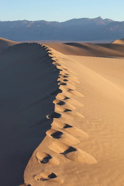 Głębokie ślady na rozpadające się piasku — Zdjęcie stockowe