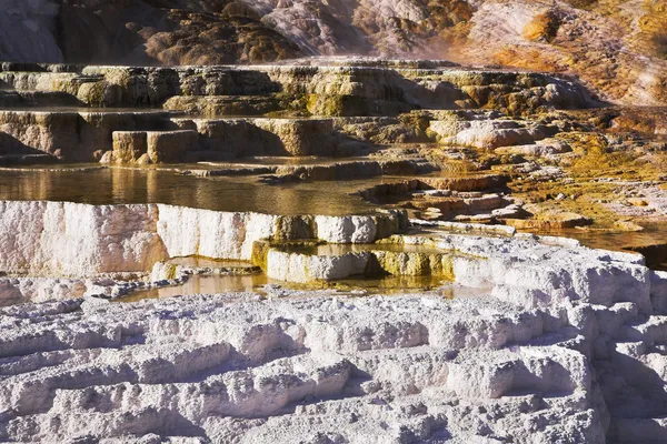Gorące źródła w Parku Narodowym Yellowstone — Zdjęcie stockowe