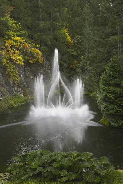 波光粼粼的喷气式飞机的喷泉 — 图库照片
