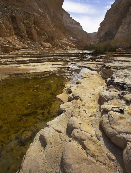 Morsches Moor in Wüsten. — Stockfoto