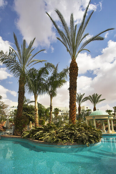 The ornate pool in an environment of palm trees and awnings