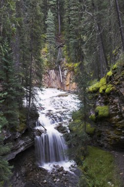 johnson Falls park