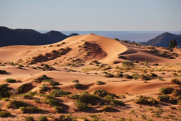 Gracefully curved sand dune — Stock Photo, Image
