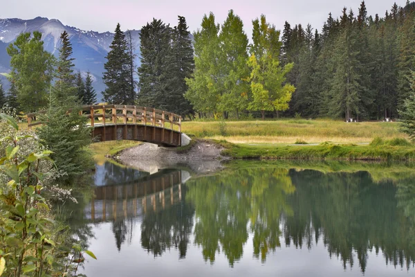 stock image The picturesque bridge.