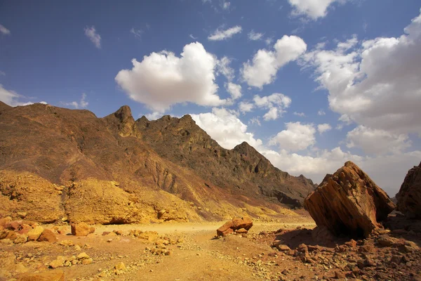 Deserto de pedra Sinai — Fotografia de Stock
