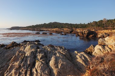 Rezerv point lobos