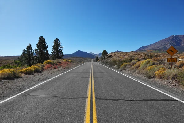 De weg ging. grote Amerikaanse road — Stockfoto