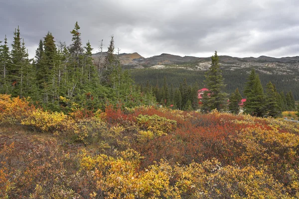 Podzimní severní hory. — Stock fotografie