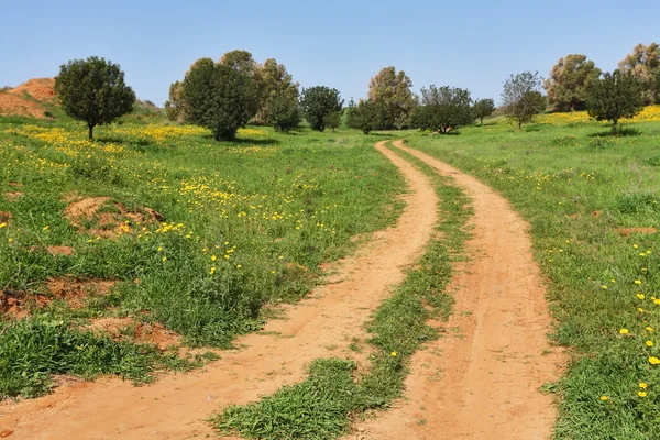 The rural dirt road passes fields — Stock Photo, Image