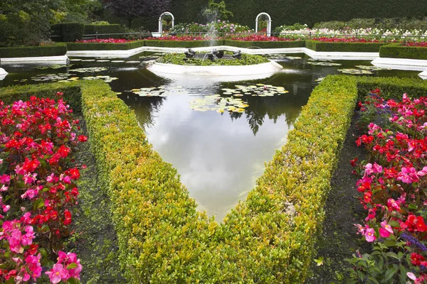 Pond and fountain. — Stock Photo, Image