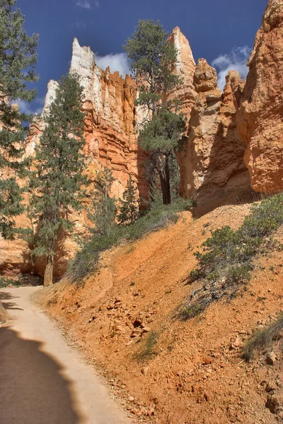 Weg naar een canyon — Stockfoto