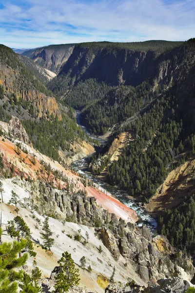 Canyon boisé dans le parc national Yellowstone — Photo