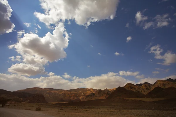 In de woestijn sinai — Stockfoto