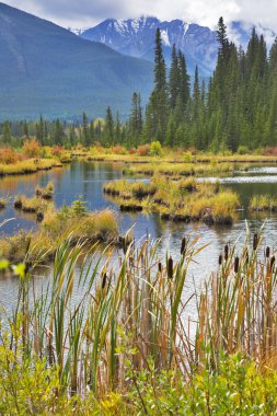 Picturesque lake with small islets clipart