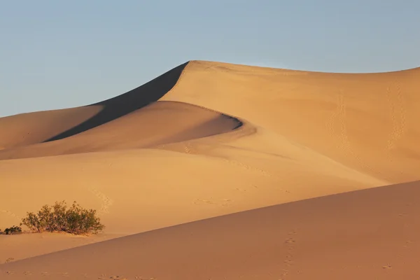 Les dunes de sable sont spectaculaires lever de soleil doré — Photo