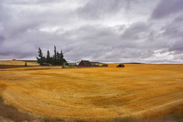 Piccola azienda agricola nei campi del Montana — Foto Stock