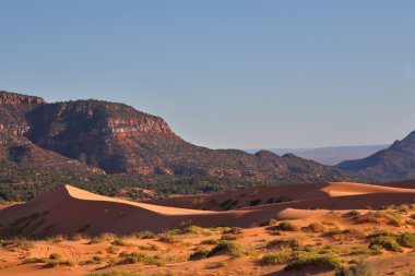 olağanüstü sunrise tarafından aydınlatılmış bir turuncu-pembe dune