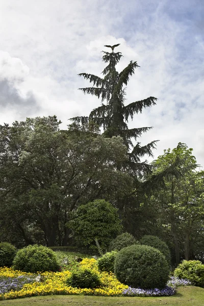 Fin grön park i omgivningar madrid — Stockfoto
