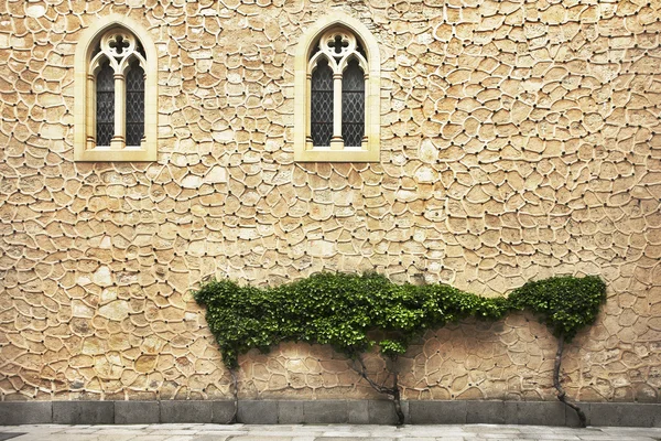 The wall of an ancient building — Stock Photo, Image