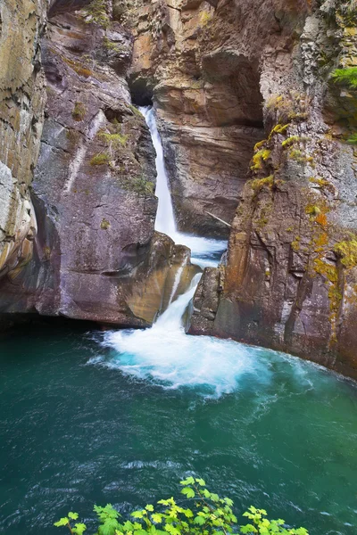 Groen water in de bossen van het noorden van canada — Stockfoto