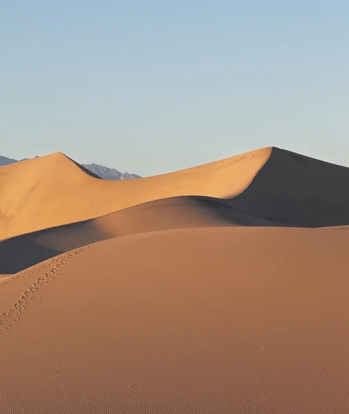 Barkhans di sabbia — Foto Stock
