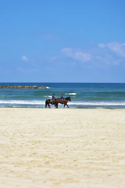 stock image Horse patrol on a beach