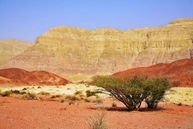 benzersiz park timna