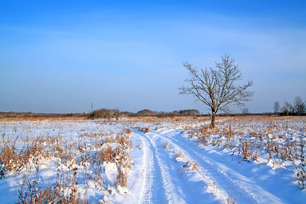 Vintervei gjennom felt – stockfoto